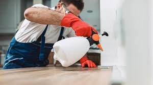 Best Pest Control for Multi-Family Homes  in San Antonio, FL